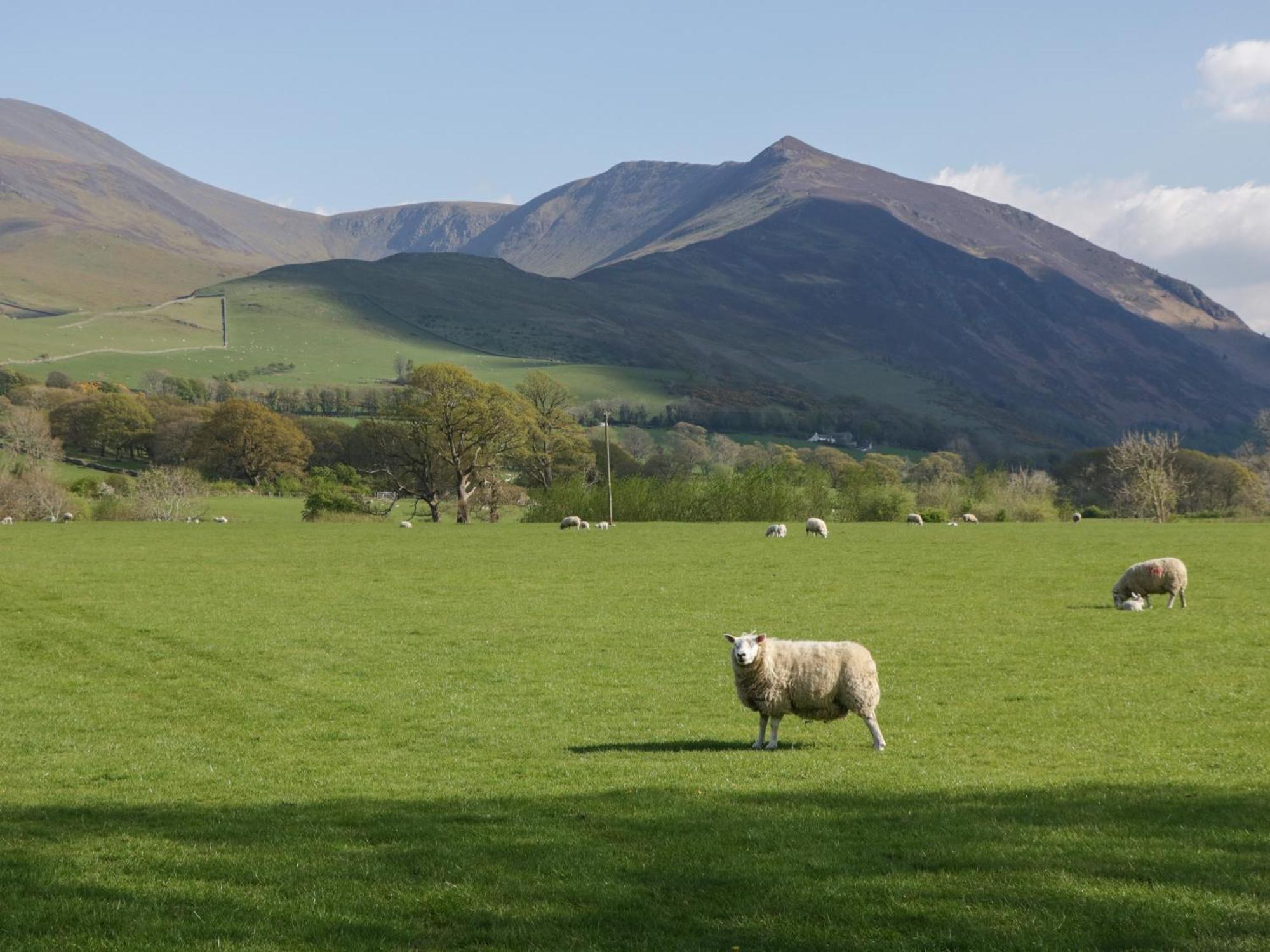 Woof Luxury Family Pod Villa Keswick  Exterior foto